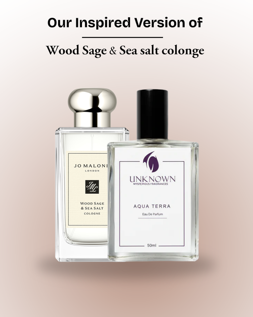 Aqua Terra EDP: Fresh Woody Aromatic Perfume for Women India