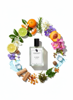 Evoke EDP Men: Fresh Aquatic Long Lasting Perfume in India